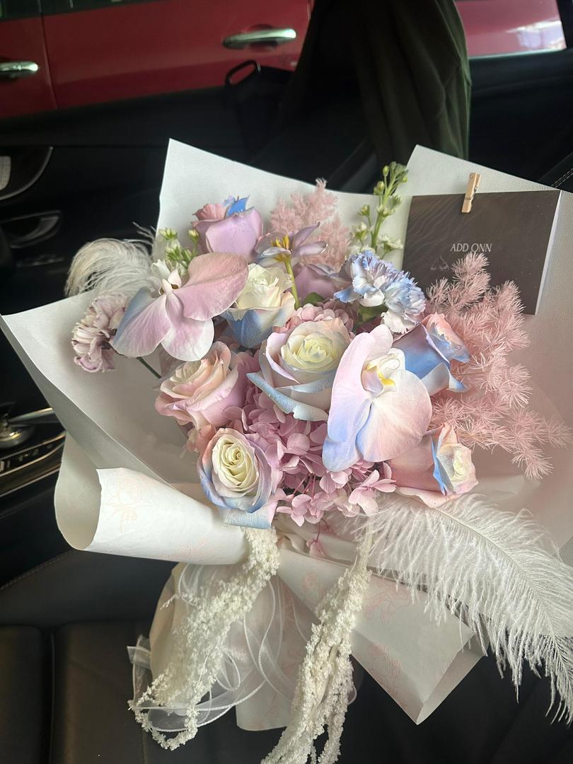 羽梦绵光 · Feathered Daydream