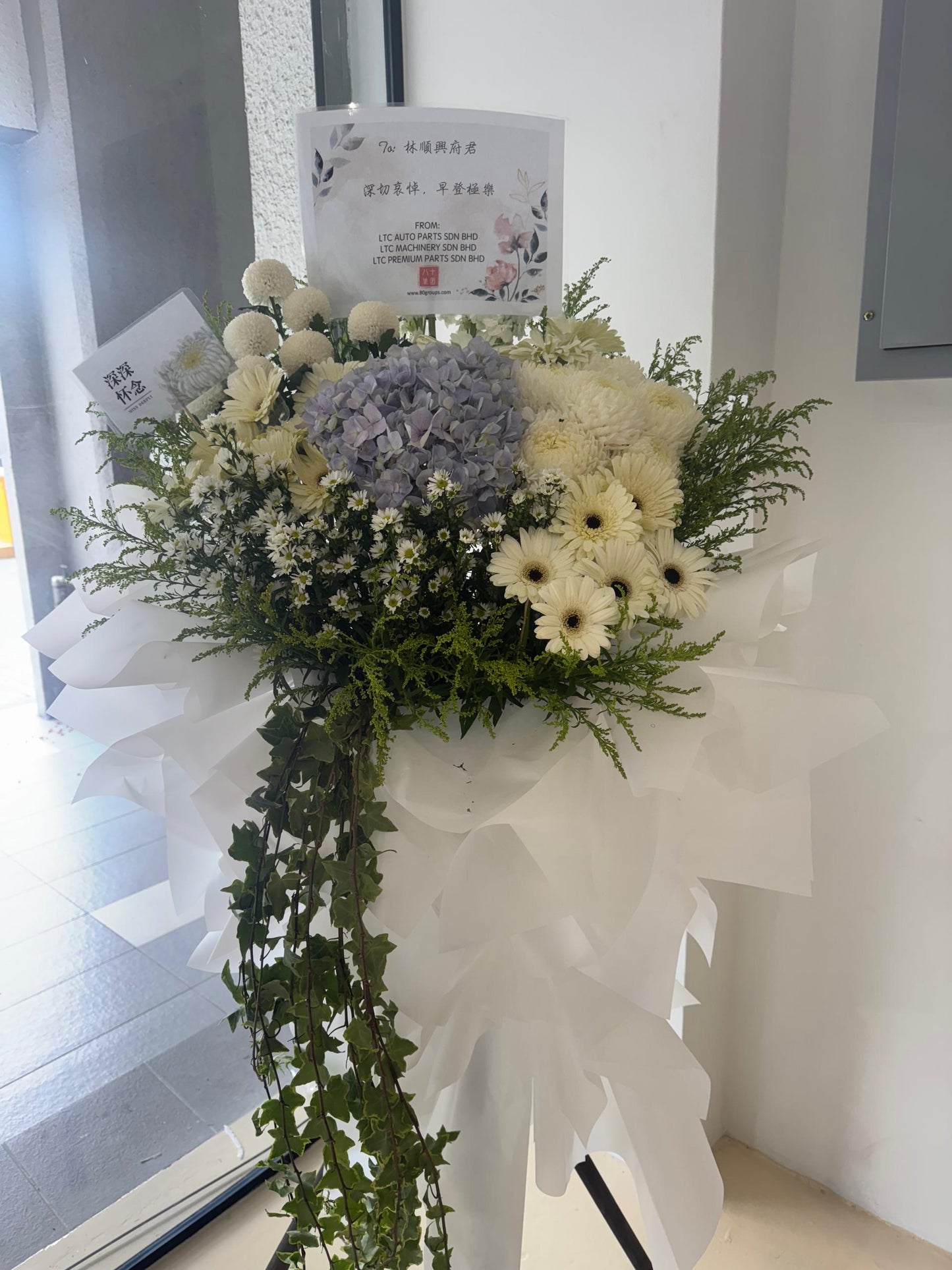 Eternal Serenity · 永恒安念