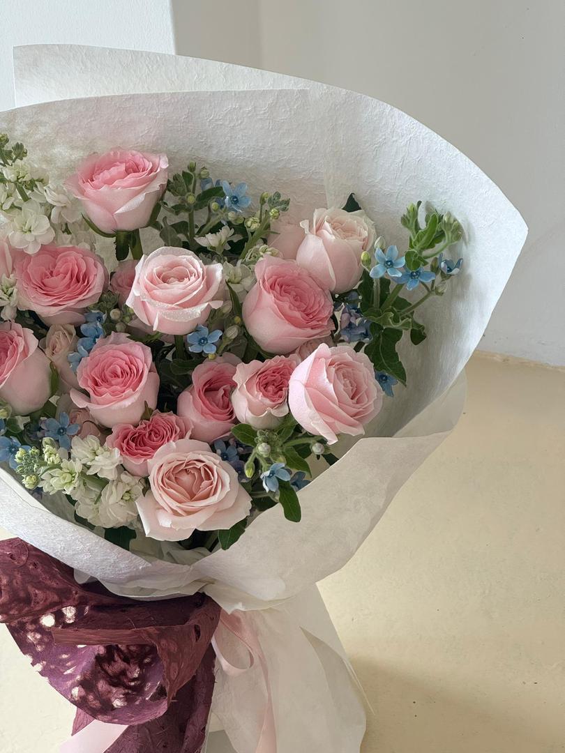 Eternal Grace · 柔光永恒