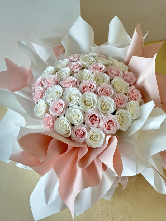 Soft Serenade · 轻柔小夜曲