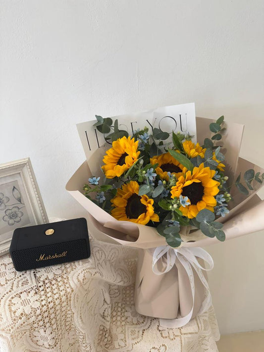 Sunlit Melody · 灿阳旋律