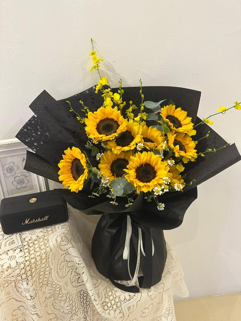 Chasing Light · 追光而行