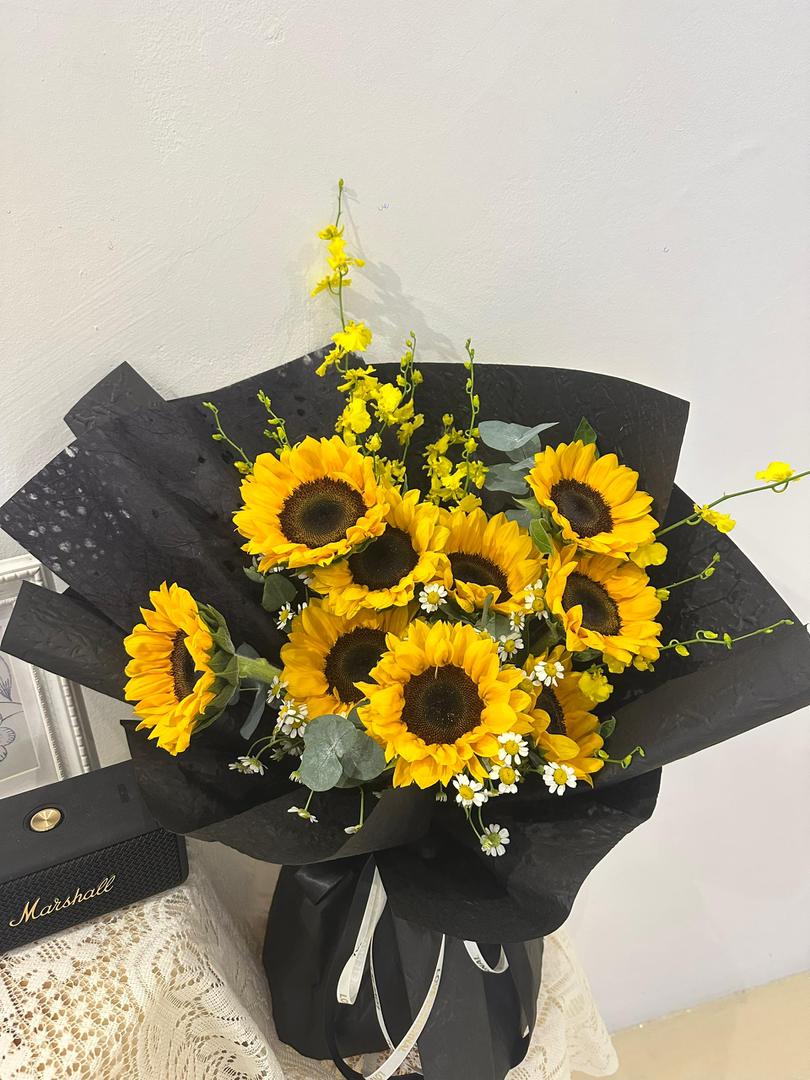 Chasing Light · 追光而行