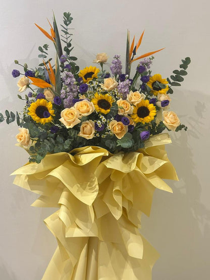 Morning Bliss · 晨曦之悦