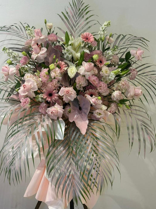 Soft Serenade · 柔光序曲