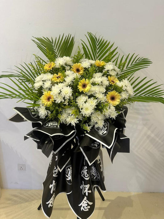 Light of Remembrance · 怀念之光