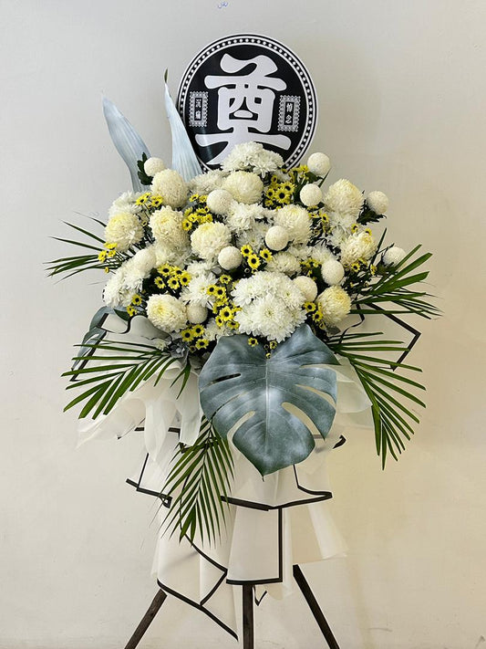 Ivory Consolation · 象牙慰念