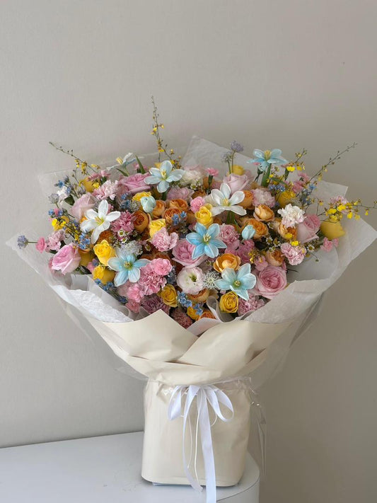 Butterfly Garden · 花园漫舞