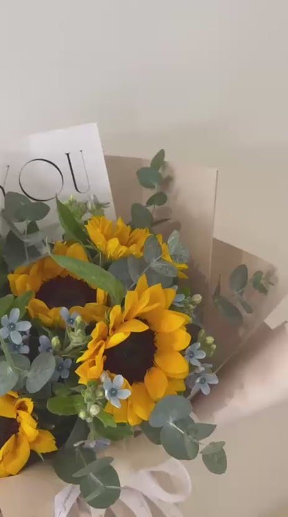 Sunlit Melody · 灿阳旋律