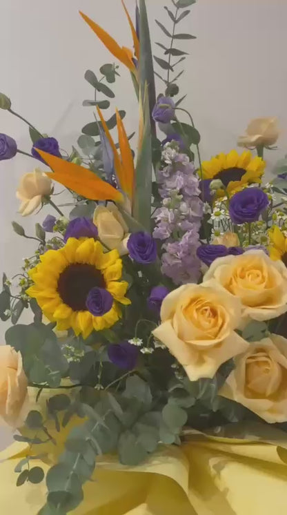 Morning Bliss · 晨曦之悦