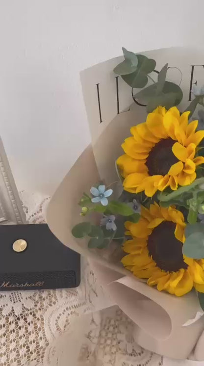 Sunlit Melody · 灿阳旋律