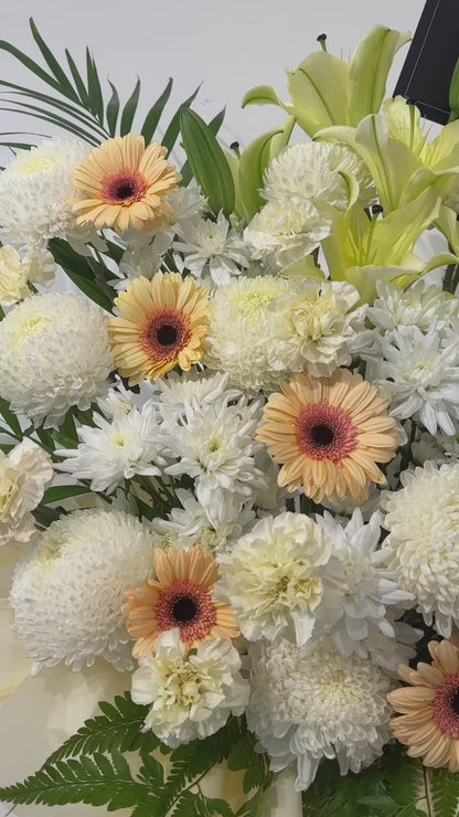 Whisper of Peace · 静念花语