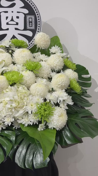 Eternal Peace Tribute · 永念白庭花礼
