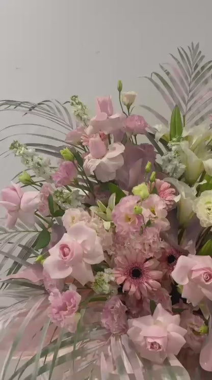 Soft Serenade · 柔光序曲