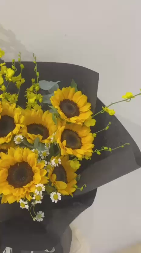 Chasing Light · 追光而行