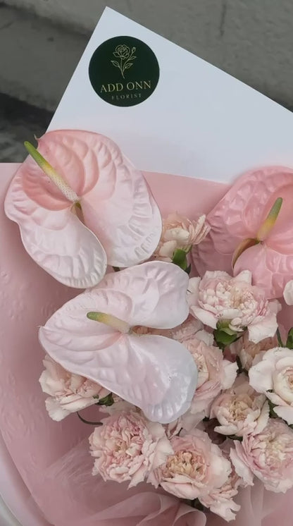 Blush Velvet Anthurium Bouquet · 粉雾天鹅绒花束