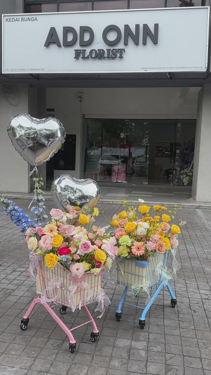 心动双选 · Twin Love Cart Collection