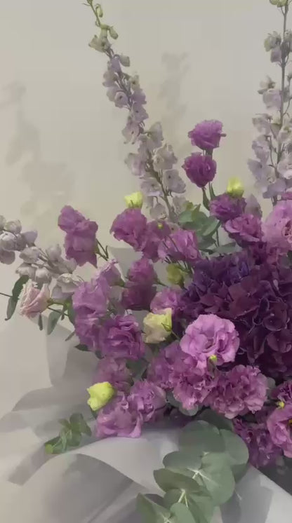 Violet Grace · 紫韵雅颂