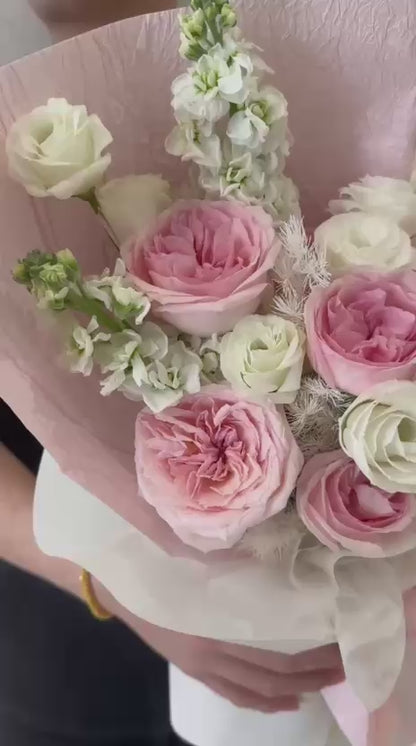 Whispering Blush · 柔粉心语