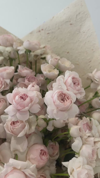 柔粉盛宴 · Blush Grandeur Bouquet