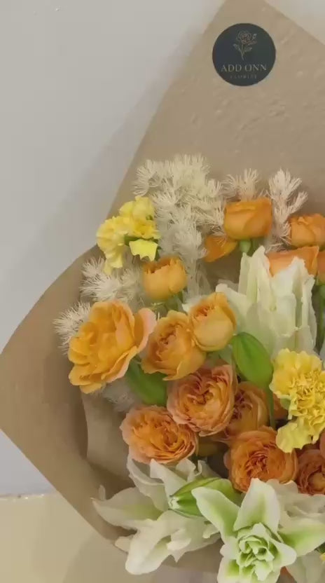 Amber Glow · 琥珀之光