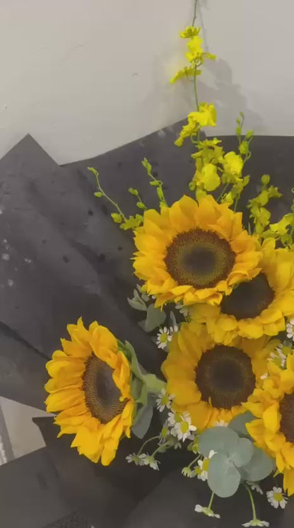 Chasing Light · 追光而行