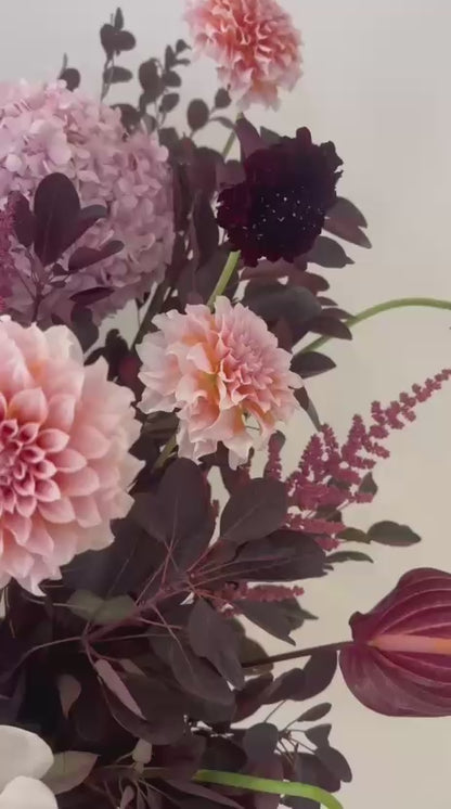 Twilight Bloom · 暮影绽香