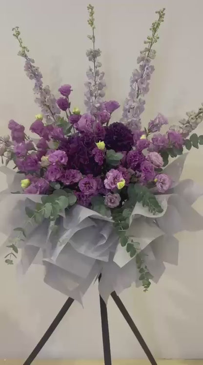 Violet Grace · 紫韵雅颂