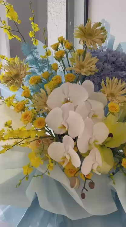 Pastel Fortune · 柔光花开