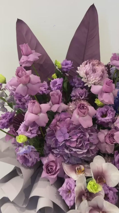 紫境开幕 · The Purple Signature Opening Stand