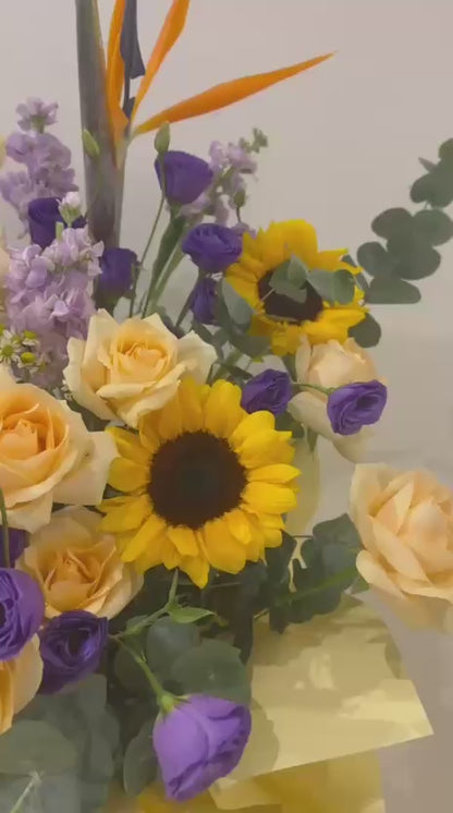 Morning Bliss · 晨曦之悦