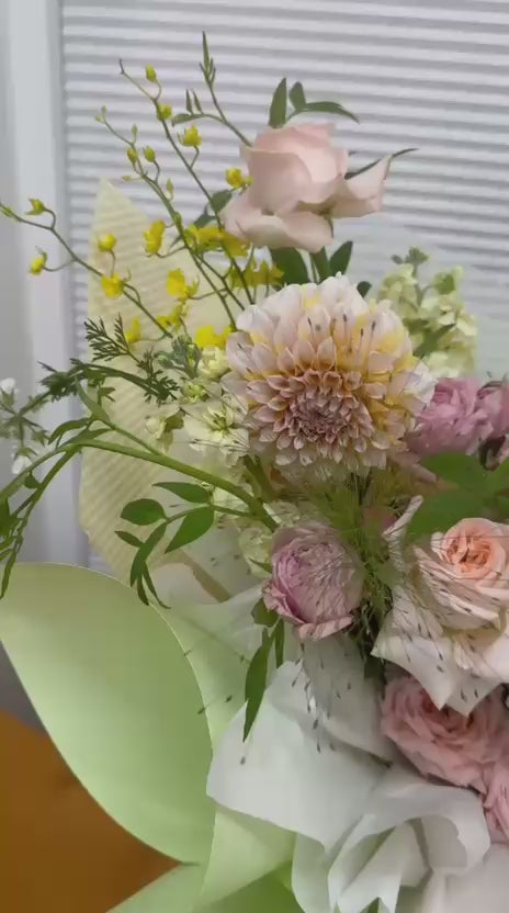 Blush Symphony · 柔粉乐章