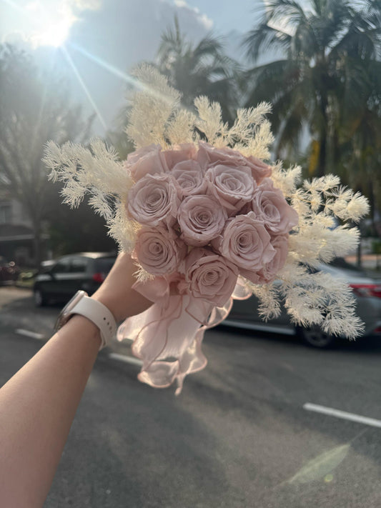 Blush Serenade · 粉色恋曲